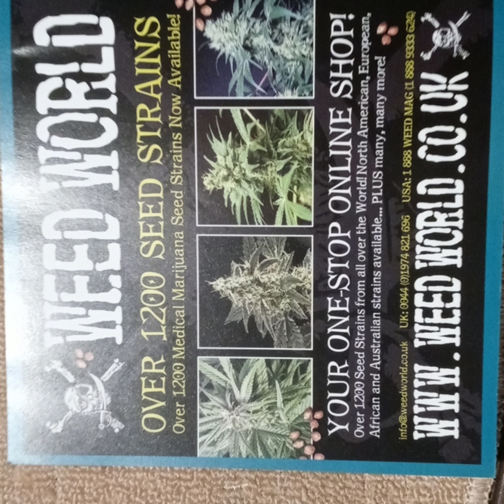 Book - Picture 3 of 3